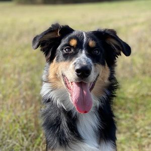 Meet your Posher, Sheena